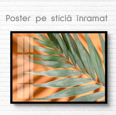 Poster - Sheet, 90 x 60 см, Framed poster on glass, Botanical