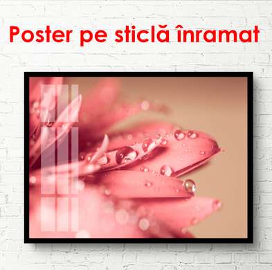Poster - Pink flower, 90 x 60 см, Framed poster, Flowers