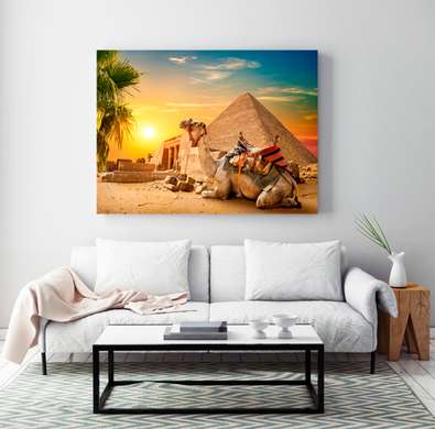 Poster - Egipt - Piramida - Cămilă și apus, 90 x 60 см, Poster inramat pe sticla