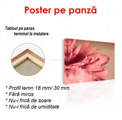 Poster - Pink flower, 90 x 60 см, Framed poster, Flowers