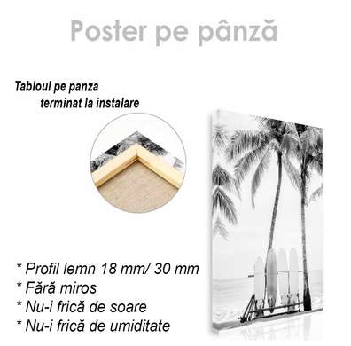 Poster - Placi de surf, 60 x 90 см, Poster inramat pe sticla