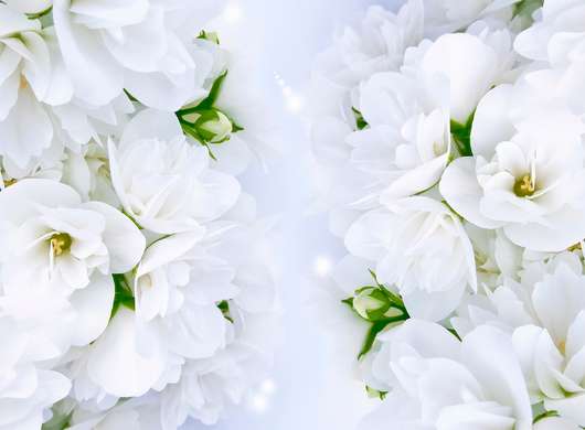 Фотообои - Белые нежные цветы