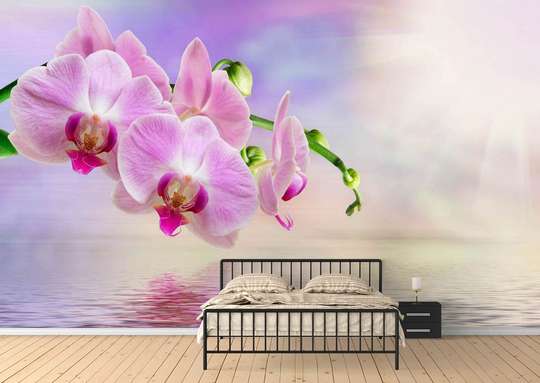 Фотообои - Розовая орхидея на рассвете