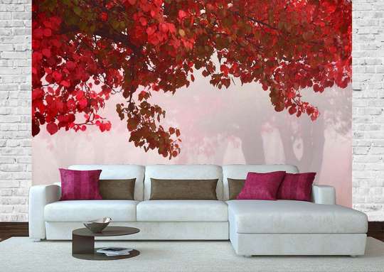 Wall Mural - Trees with red leaves