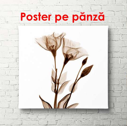 Постер - Коричневые цветы на белом фоне, 100 x 100 см, Постер в раме