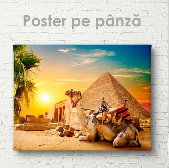 Poster, Egipt - Piramida - Cămilă și apus, 45 x 30 см, Panza pe cadru