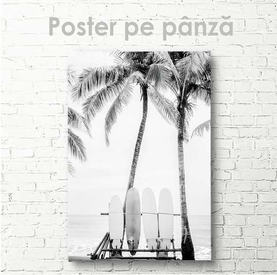 Poster - Surf boards, 30 x 45 см, Canvas on frame
