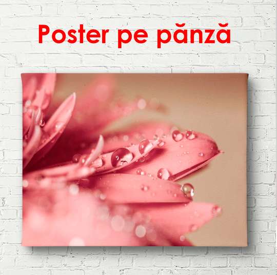 Poster - Floarea roz, 90 x 60 см, Poster înrămat