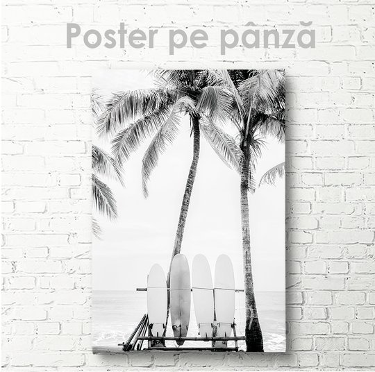 Poster, Placi de surf, 30 x 45 см, Panza pe cadru