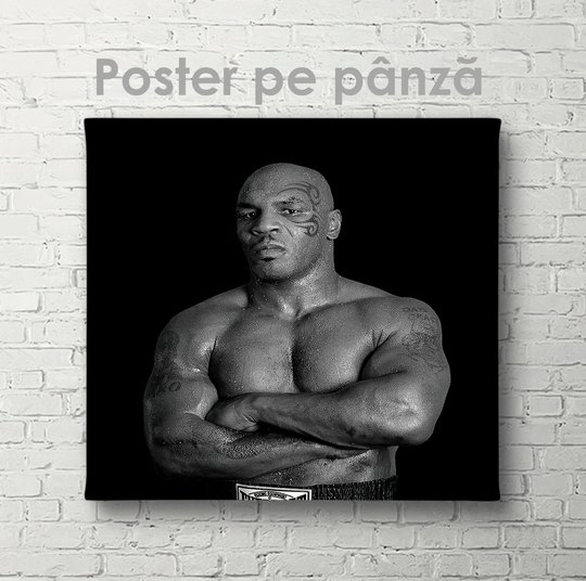 Poster, Mike Tyson, 40 x 40 см, Panza pe cadru