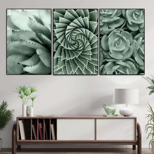 Постер - Зеленые растения, 60 x 90 см, Постер на Стекле в раме, Наборы