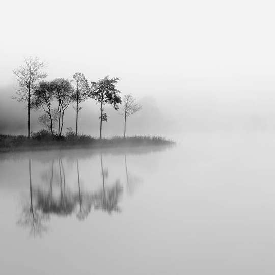Фотообои - Отражение деревьев на воде