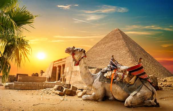 Poster - Egipt - Piramida - Cămilă și apus, 90 x 60 см, Poster inramat pe sticla