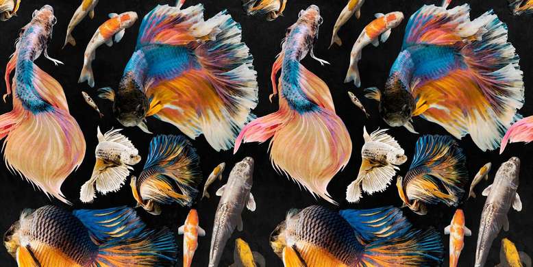 Фотообои - Рыбки синии на черном фоне