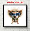 Постер, Собака в синих очках, 90 x 60 см, Постер в раме, Животные