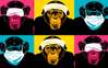 Постер, Милые обезьяны, 90 x 45 см, 60 x 90 см, Постер на Стекле в раме, Животные