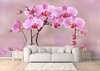 Wall Mural - Beautiful pink orchid in water reflection