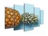 Modular picture, Pineapple, 108 х 60