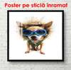 Постер, Собака в синих очках, 90 x 60 см, Постер в раме, Животные