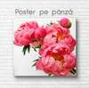 Poster - Pink peonies, 40 x 40 см, Canvas on frame