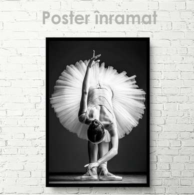 Poster - Ballerina, 30 x 45 см, Canvas on frame