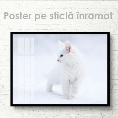Постер, Белый котенок, 45 x 30 см, Холст на подрамнике, Животные