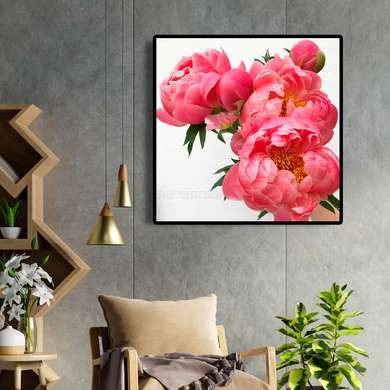 Poster - Pink peonies, 100 x 100 см, Framed poster on glass, Flowers