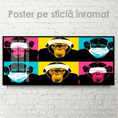 Poster, Maimuțele drăguțe, 90 x 45 см, 60 x 90 см, Poster inramat pe sticla