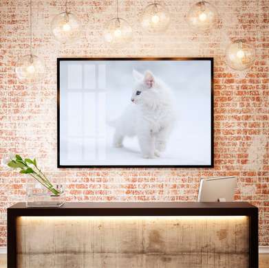 Постер, Белый котенок, 45 x 30 см, Холст на подрамнике, Животные