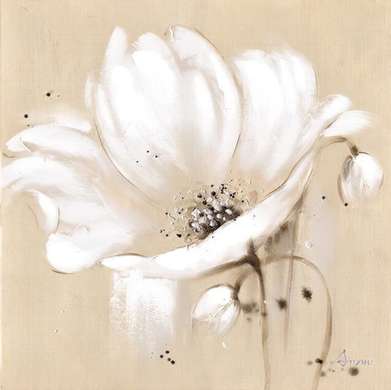 Poster - Flori albe pe fond bej, 40 x 40 см, Panza pe cadru