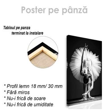Poster - Ballerina, 60 x 90 см, Framed poster on glass, Black & White