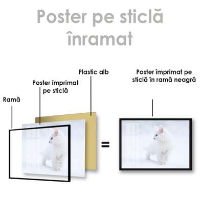 Poster, Pisicuta alba, 45 x 30 см, Panza pe cadru, Animale