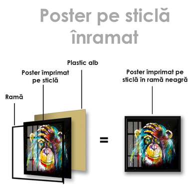 Poster, O maimuță, 100 x 100 см, Poster inramat pe sticla
