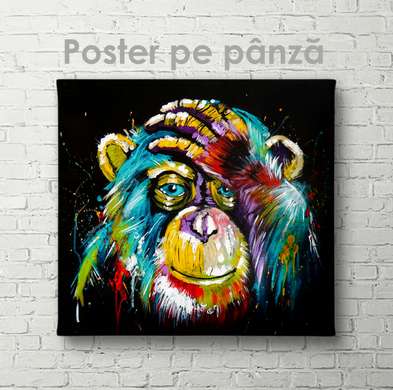 Poster, Monkey, 100 x 100 см, Framed poster on glass, Animals