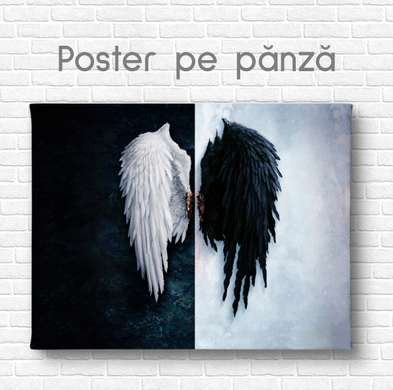 Poster - Wings, 90 x 60 см, Framed poster on glass, Black & White