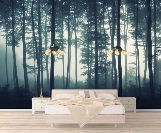 Wall Mural - Foggy morning in the forest