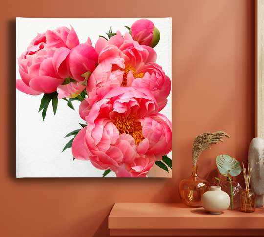 Poster, Bujori roz, 40 x 40 см, Panza pe cadru