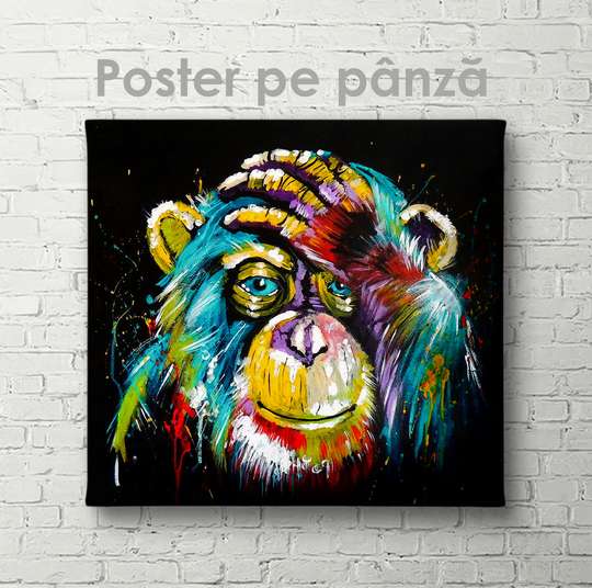 Poster, Monkey, 40 x 40 см, Canvas on frame, Animals