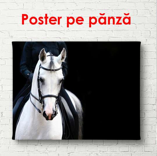 Постер, Белый конь на темном фоне, 90 x 60 см, Постер в раме, Животные