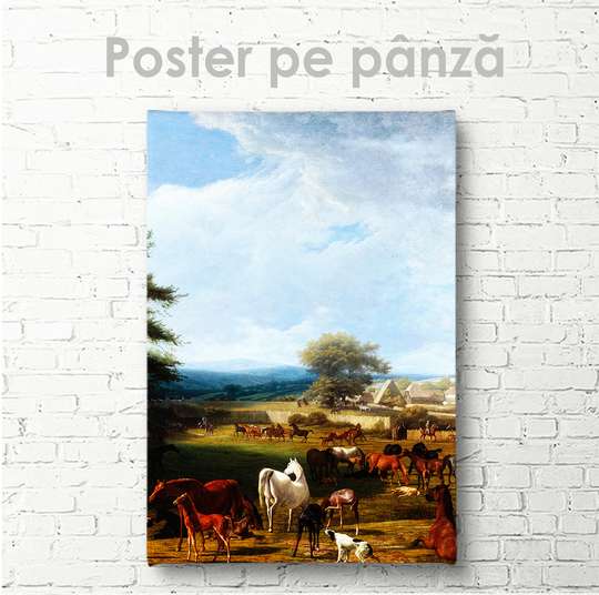 Poster - Cai în pășune, 30 x 45 см, Panza pe cadru