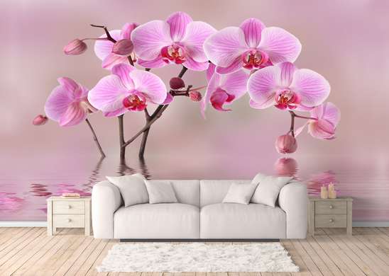 Фотообои - Красивая розовая орхидея в отражении воды