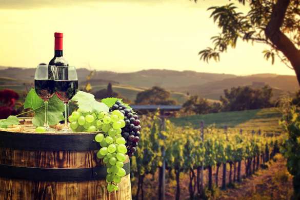 Poster - A bottle of wine against the backdrop of a green vineyard at sunset, 90 x 60 см, Framed poster, Food and Drinks