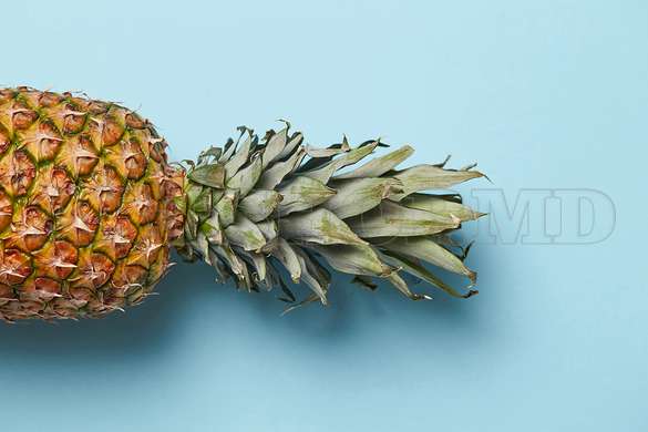 Modular picture, Pineapple, 206 x 115