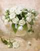 Poster - Trandafiri albi într-o vază albă, 60 x 90 см, Poster înrămat, Natură Moartă