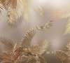 Wall mural - Beige palm leaves through the fog