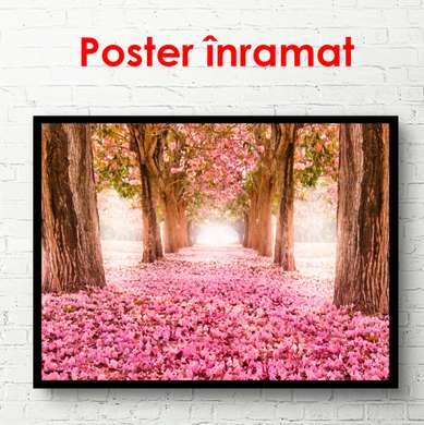 Poster - Rose Park, 90 x 60 см, Framed poster