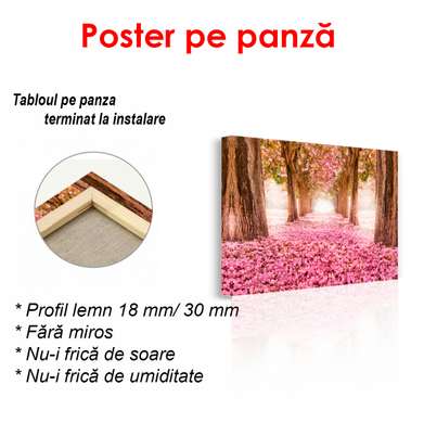 Poster - Parcul roz, 90 x 60 см, Poster înrămat, Natură