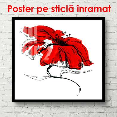 Poster - Floarea roșie, 100 x 100 см, Poster înrămat