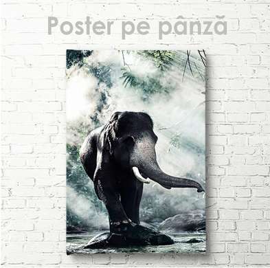 Poster, Elefant, 60 x 90 см, Poster inramat pe sticla