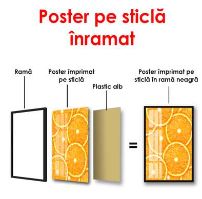 Poster - Felii de portocale, 60 x 90 см, Poster înrămat, Alimente și Băuturi